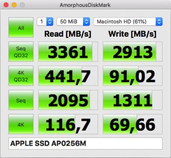 APPLE SSD AP0256M.png