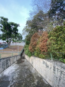 46C7A309-2301-432E-B11E-3D3ABC9A71C1.jpeg
