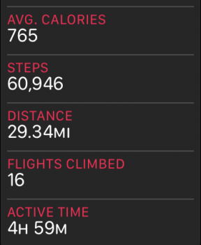 steps.PNG