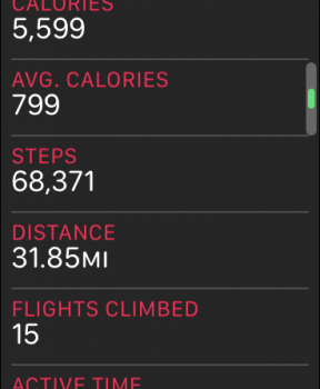 steps.PNG