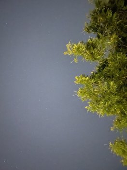 FA24240F-3C5A-48D4-922C-B1421F3169E0.jpeg