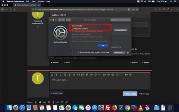 Screen Shot 2019-10-08 at 9.36.22 am.png