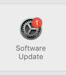 Software Update in preferences.png