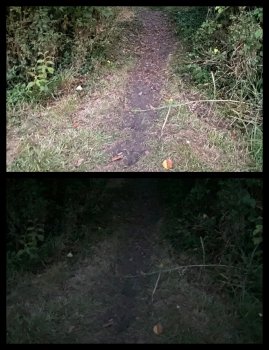00198936-D1E2-4010-8AAC-91D604B04D02.jpeg