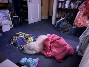 907D0210-A092-4907-8903-5B0197A5A33E.jpeg
