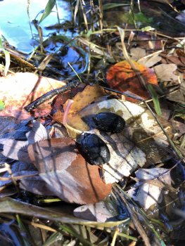 wdLrJUJXQgqKN+s+eXFs2w.jpg wdLrJUJXQgqKN+s+eXFs2w.jpg