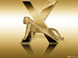 GoldenLeopard.jpg