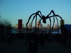 IMG_0131_2.jpg