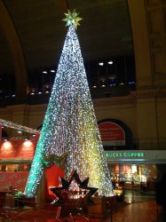 christmas_tree.jpg