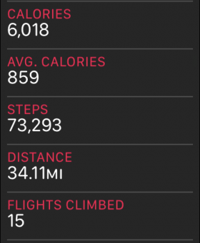 STEPS.PNG