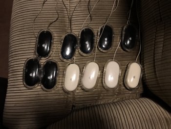IMG_1734.jpeg