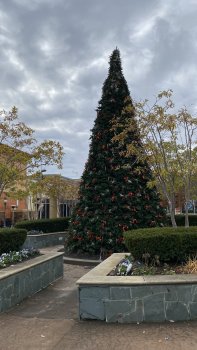IMG_0005.jpeg