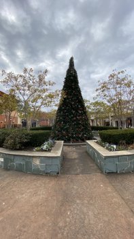 IMG_0007.jpeg