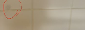 7812D837-6519-4F55-8B24-872DE41B8B2E.jpeg