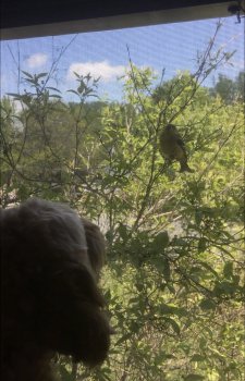 771EDA72-62E8-4CD6-B243-6B975CBFF351.jpeg 771EDA72-62E8-4CD6-B243-6B975CBFF351.jpeg