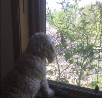 FC4D82E0-9FAC-4ACC-A1DE-03AFB0DF0A8C.jpeg FC4D82E0-9FAC-4ACC-A1DE-03AFB0DF0A8C.jpeg