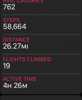 steps.PNG