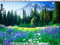 desktop.jpg