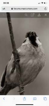 9502122E-59E7-4ADA-BB9E-C9DB736DEAAB.png