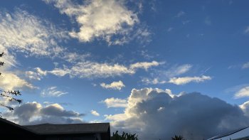 7AF70085-DE7F-4C08-9563-68E30F88C925.jpeg