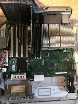 IMG_8503.jpeg