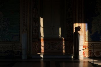 IMG_1151.jpg