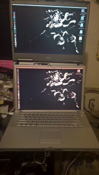 WP_20191114_18_47_22_Pro.jpg