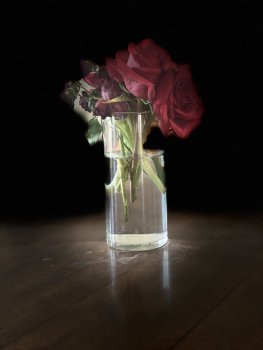 716DAE87-0EA1-4385-9E09-BC0F3F94E307.jpeg