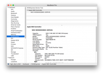 WD Blue NVMe  sysinfo.png