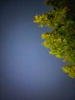 7C2EFE5B-1A62-49E9-8B14-6C5AA10006F0.jpeg