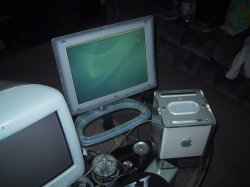 IMG_6079.JPG