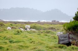 DSC_0040.jpg