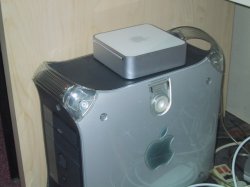IMG_6946.JPG