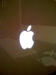 IMG_0218.JPG