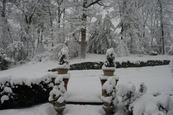 DSC_0101 800.jpg