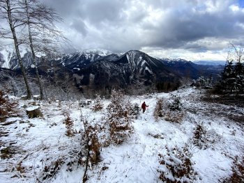 IMG_0429.jpg