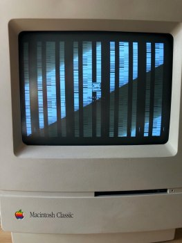 IMG_0265.jpeg