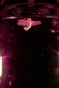 RMG_8801 1.jpg