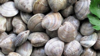 rappel-produit-7.jpg