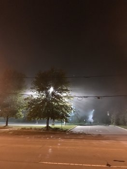 93F7E53B-C8E0-4B20-8D66-B750283F663E.jpeg