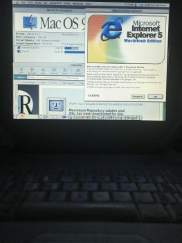 C75DF7BE-E1F3-4169-B1DE-A0E935606DE9.jpeg