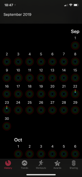 IMG_6264.PNG