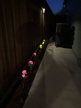 IMG_0220.jpg IMG_0220.jpg