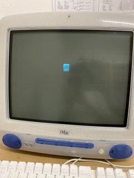 IMG_0232.JPEG