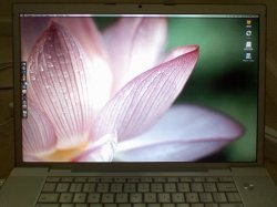 2008_01_23 mbp lotus.jpg