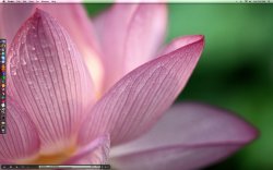 2008_01_26 desktop.jpg