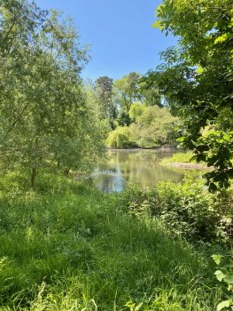 IMG_1326.jpeg