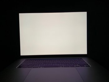 IMG_0010.jpeg