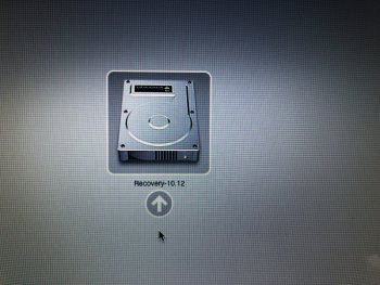 Screen Shot 03.jpeg
