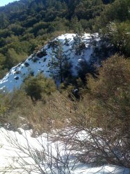 iPics 026.jpg
